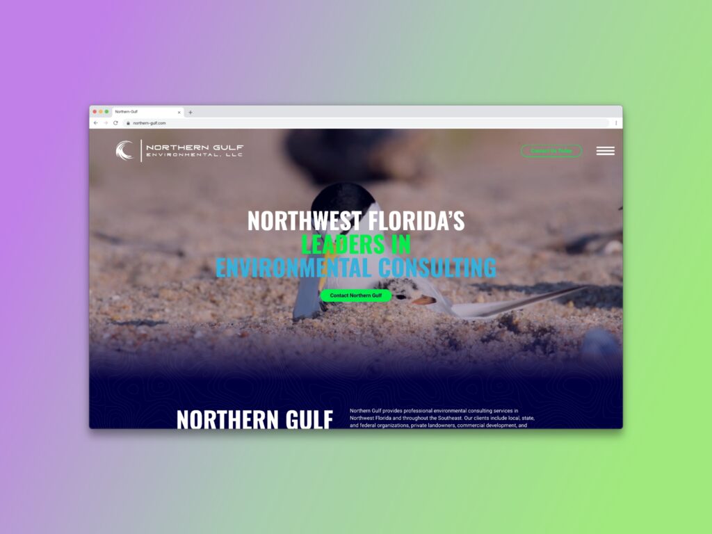 Northern Gulf Environmental